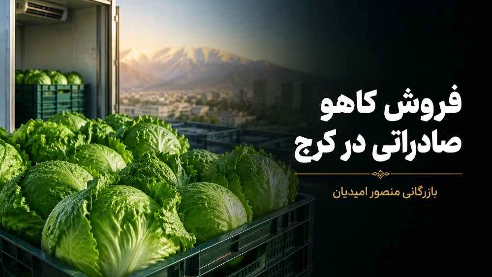 فروش کاهو صادراتی در کرج با بهترین کیفیت