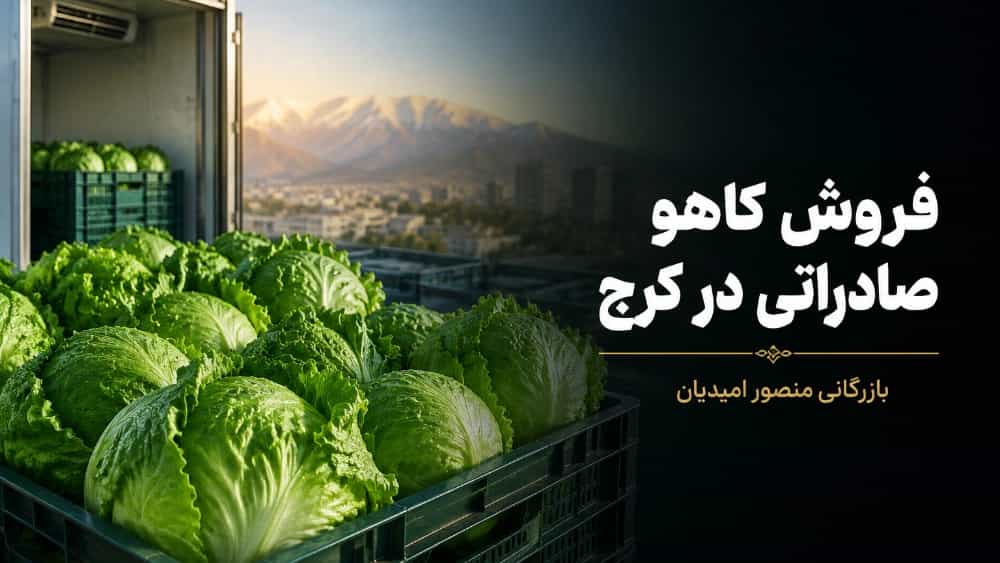 فروش کاهو صادراتی در کرج با بهترین کیفیت