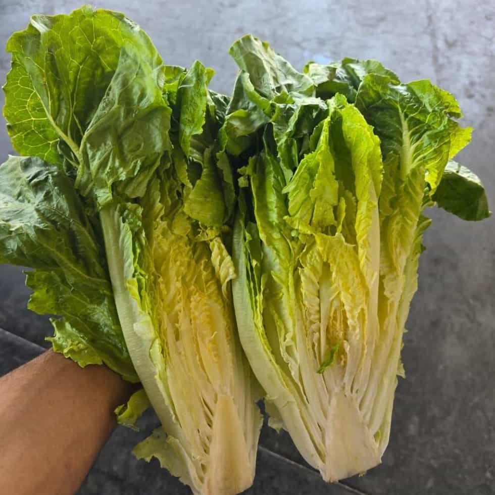 1785043073976.webp