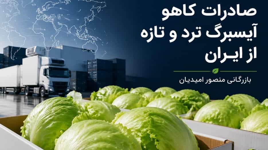 صادرات کاهو آیسبرگ ترد و تازه از ایران به سایر کشورها