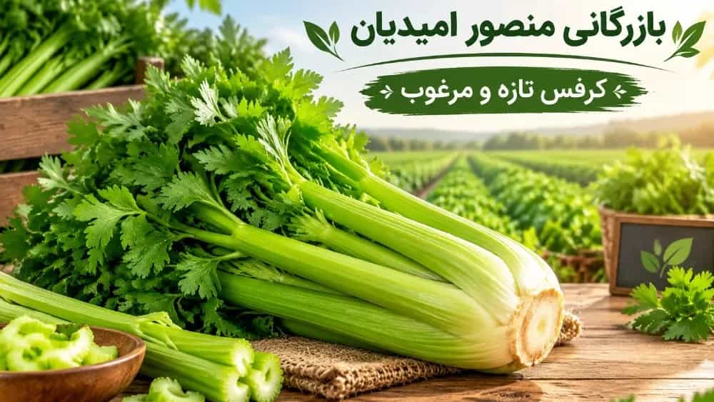 خرید کرفس تازه و مرغوب در کرج